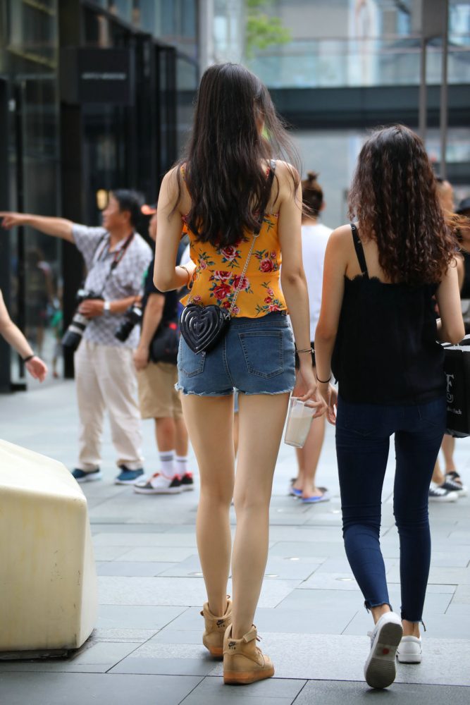 J2023 30P-255MB-阡陌图库