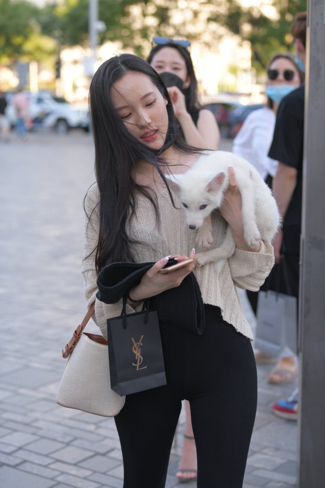 抱着小狗的漂亮女孩 J2106 136P-3.25GB-阡陌图库