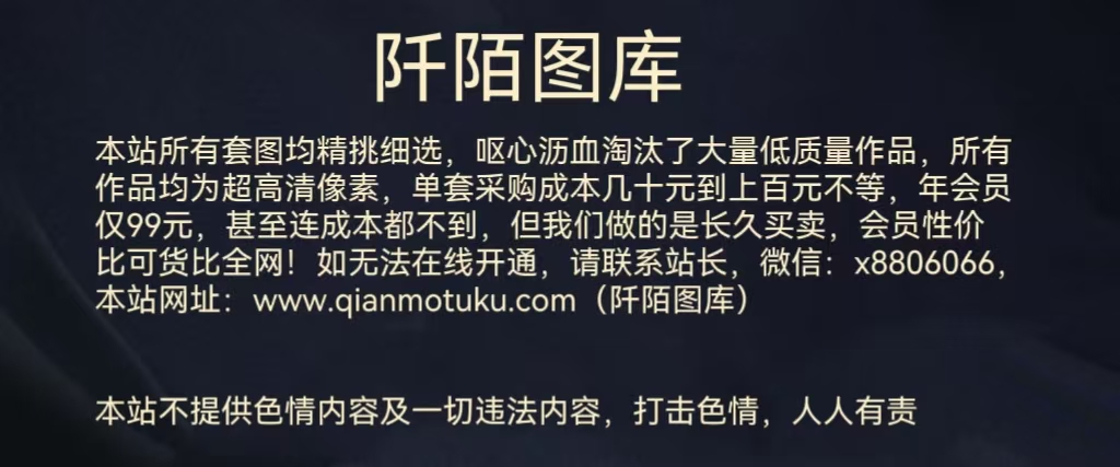 幻灯片-阡陌图库